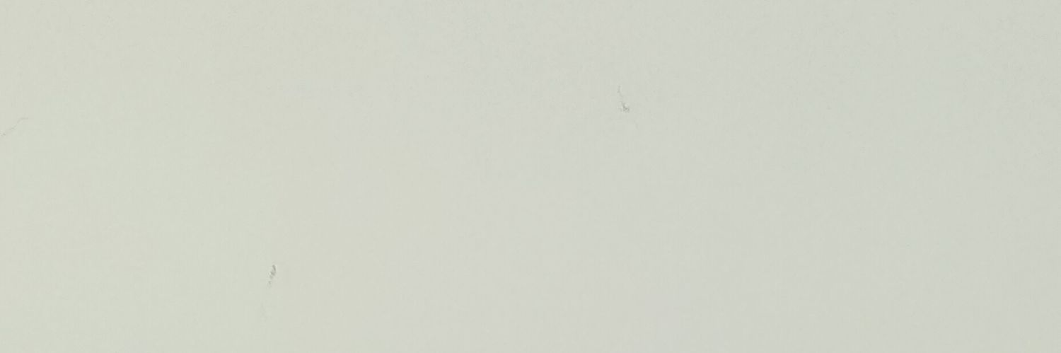 Zali H banner