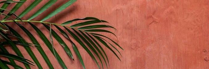 BiriErmis's profile banner image