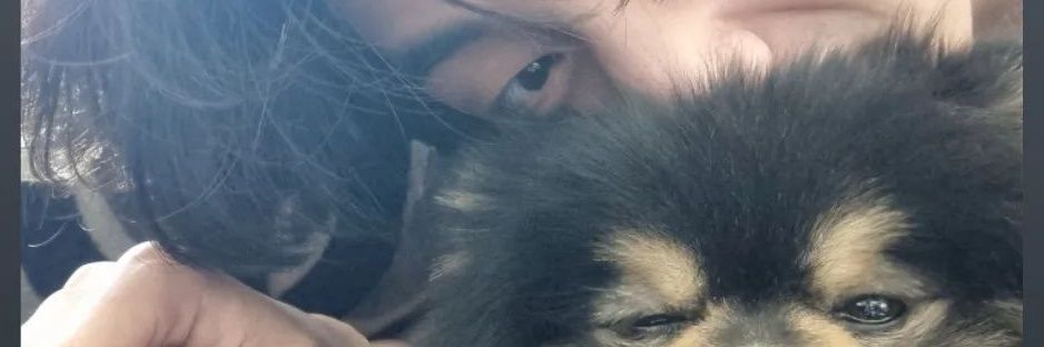 MiMi_V banner