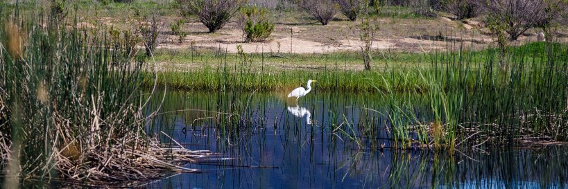 vcwatershed's profile banner image