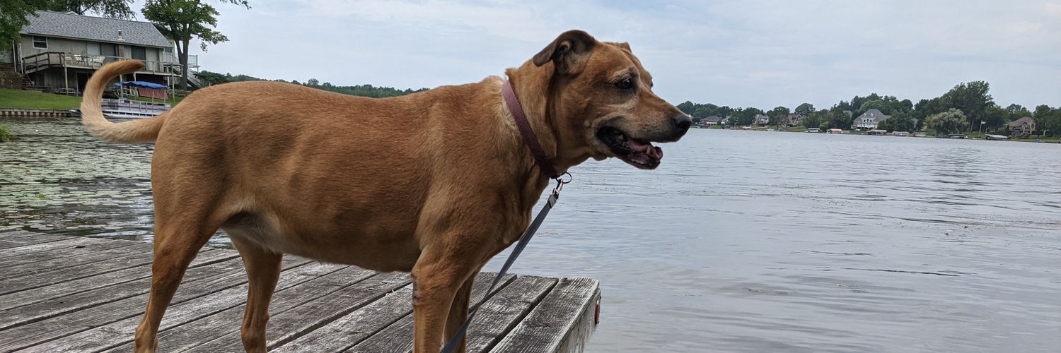 Hannah, most notorious overwriter ever banner