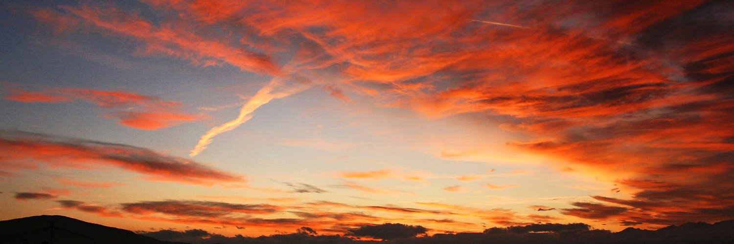 WhitelistHunt banner