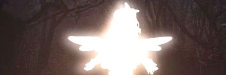 🍀∆Bugaflore∆🍀 banner