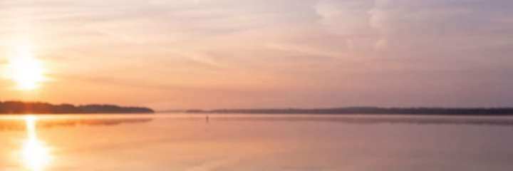 Annette_TF's profile banner image