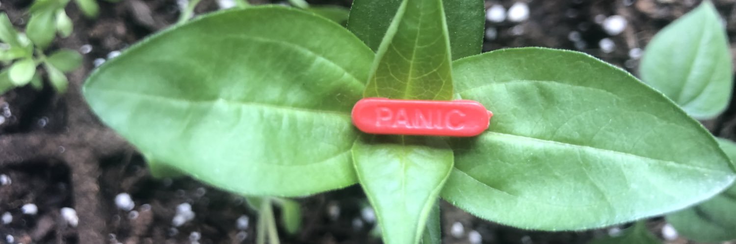 mitch hedbergs roommate banner