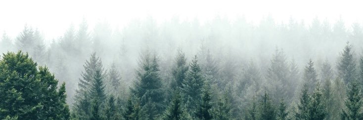 WizardThingz's profile banner image