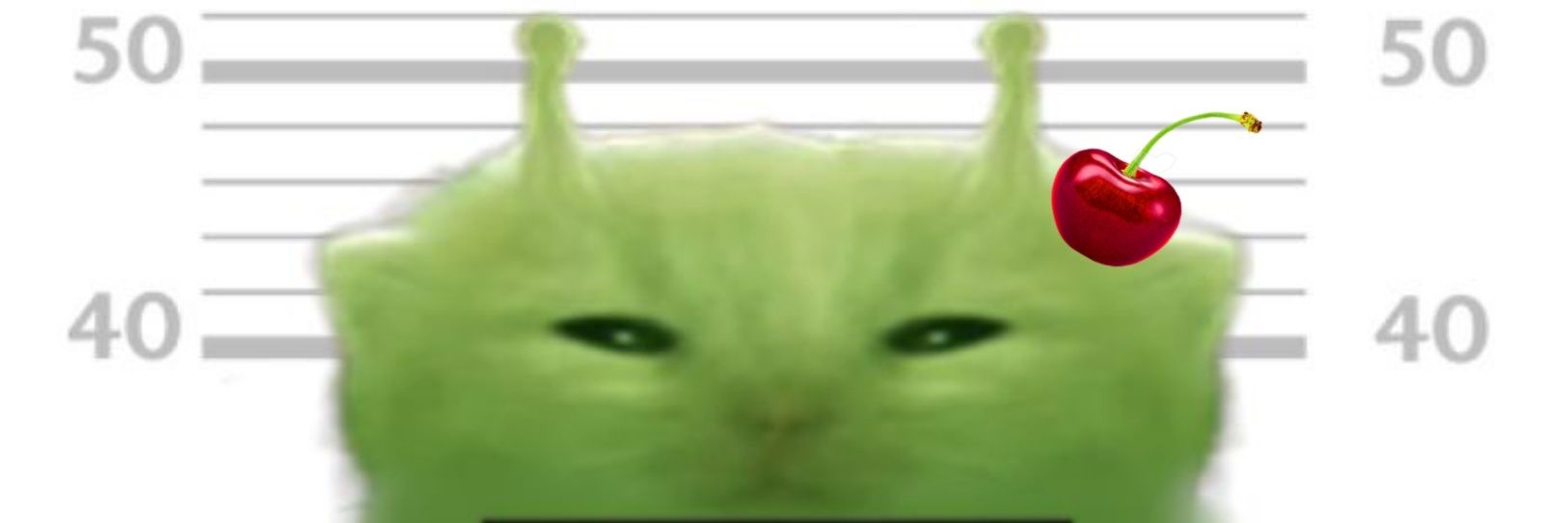 MarryCherryDraw's profile banner image