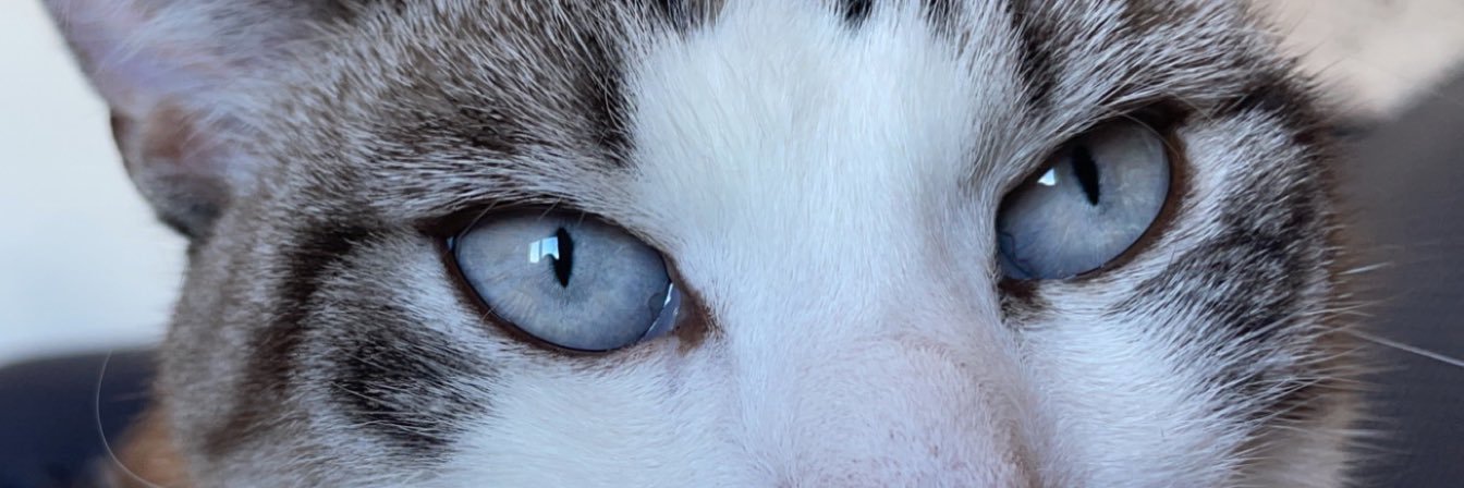 elod_l's profile banner image