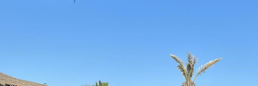 Mosio banner