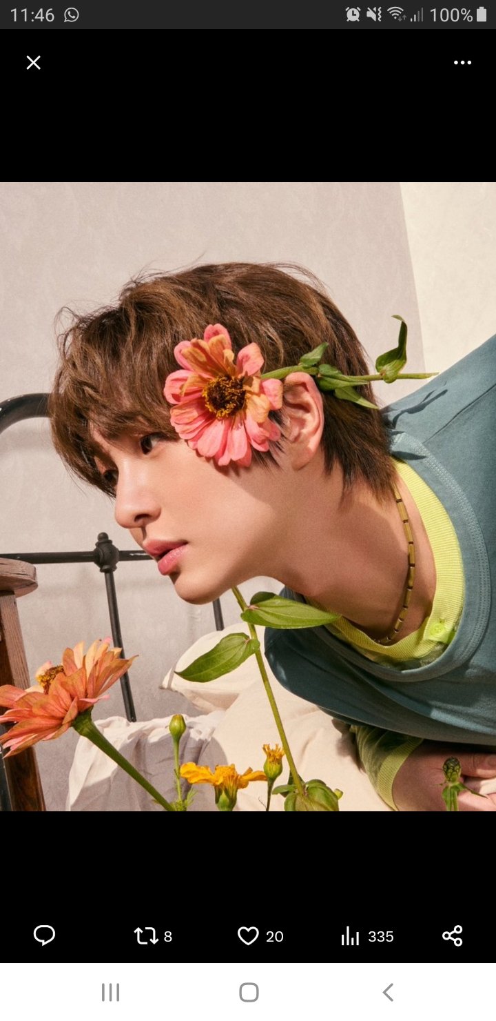 🐇 Jjinggu Jinki Lover🐇 banner