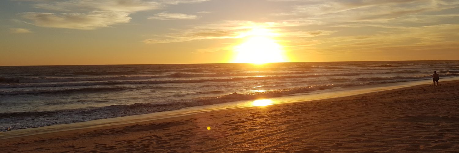 Guadalupe Ross banner