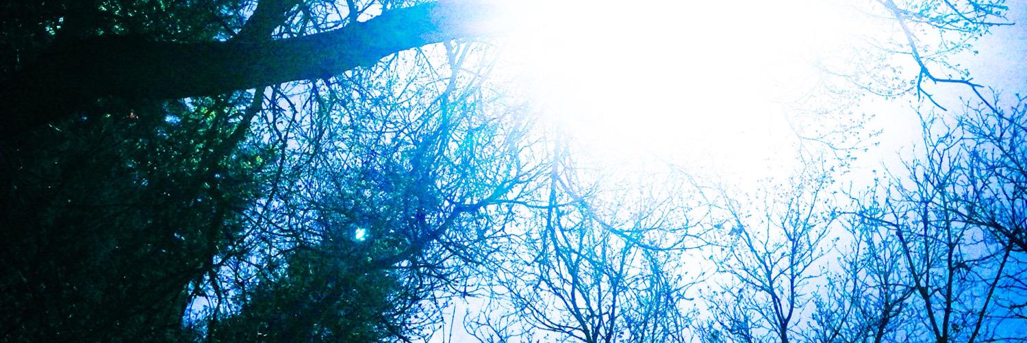 agowon's profile banner image