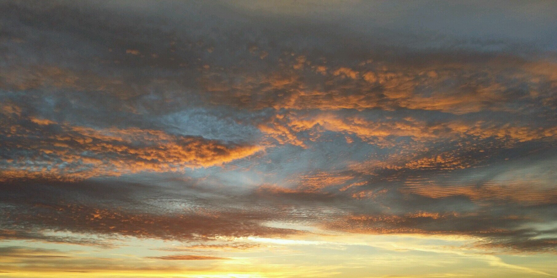 Michael Schuldt banner