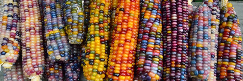 corndread76's profile banner image