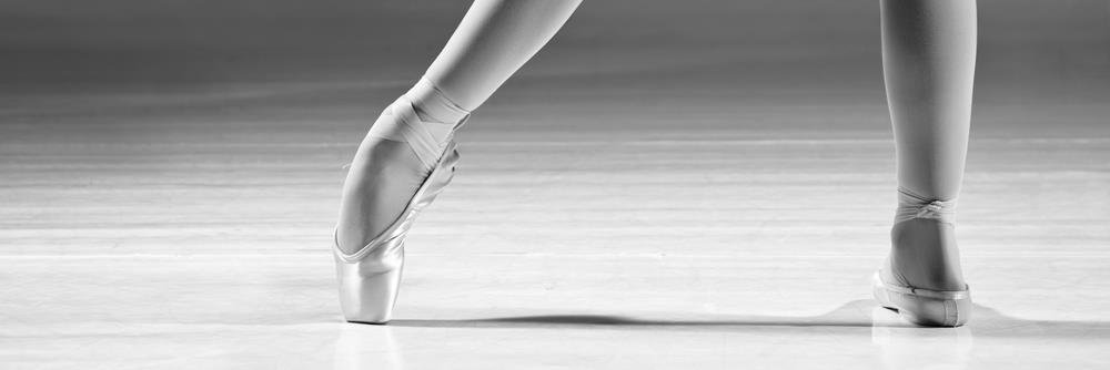 BayPointeBallet's profile banner image