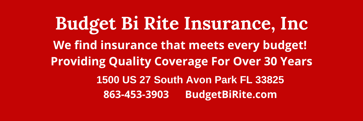 Budget Bi Rite Insurance, Inc Florida banner