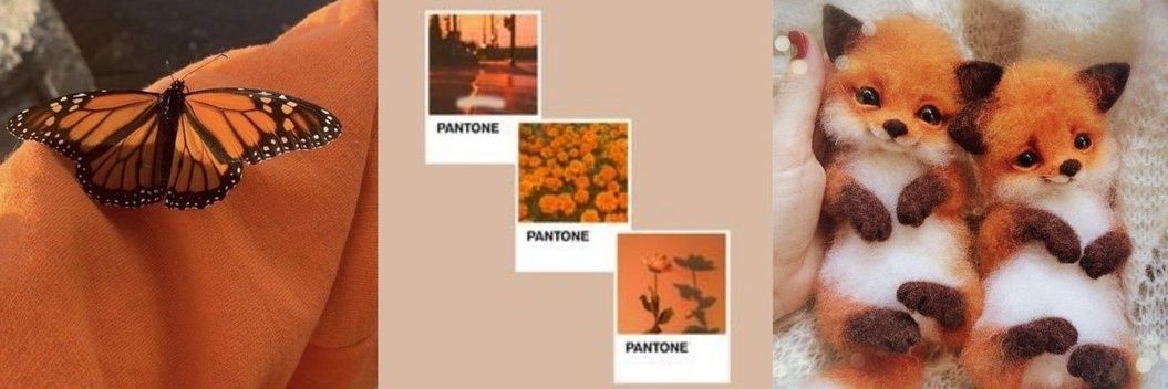 foxyminho's profile banner image