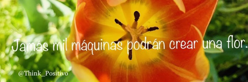 Think_Positivo's profile banner image