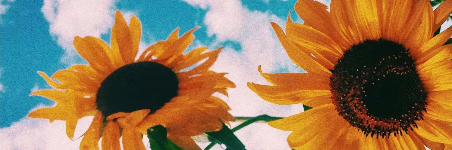 zsemilyyy's profile banner image