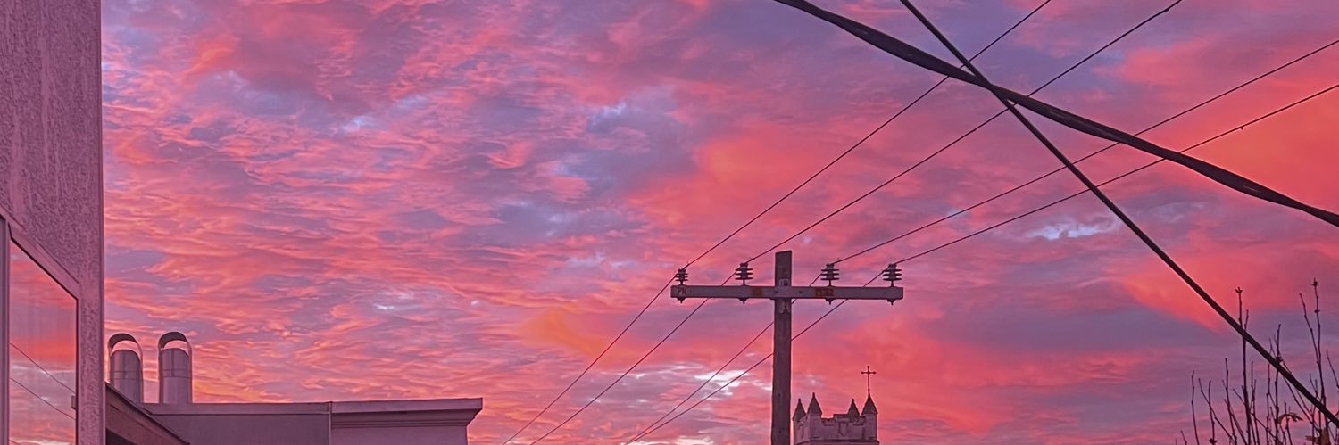 small town turtle banner