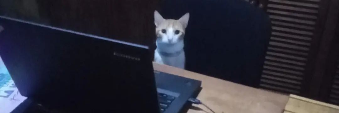 kieran jacobs banner