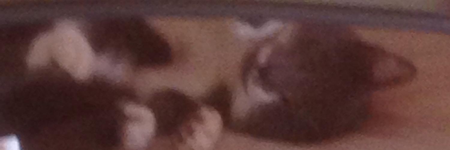 Fran_Sirvent's profile banner image