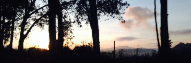 a__dasilva's profile banner image