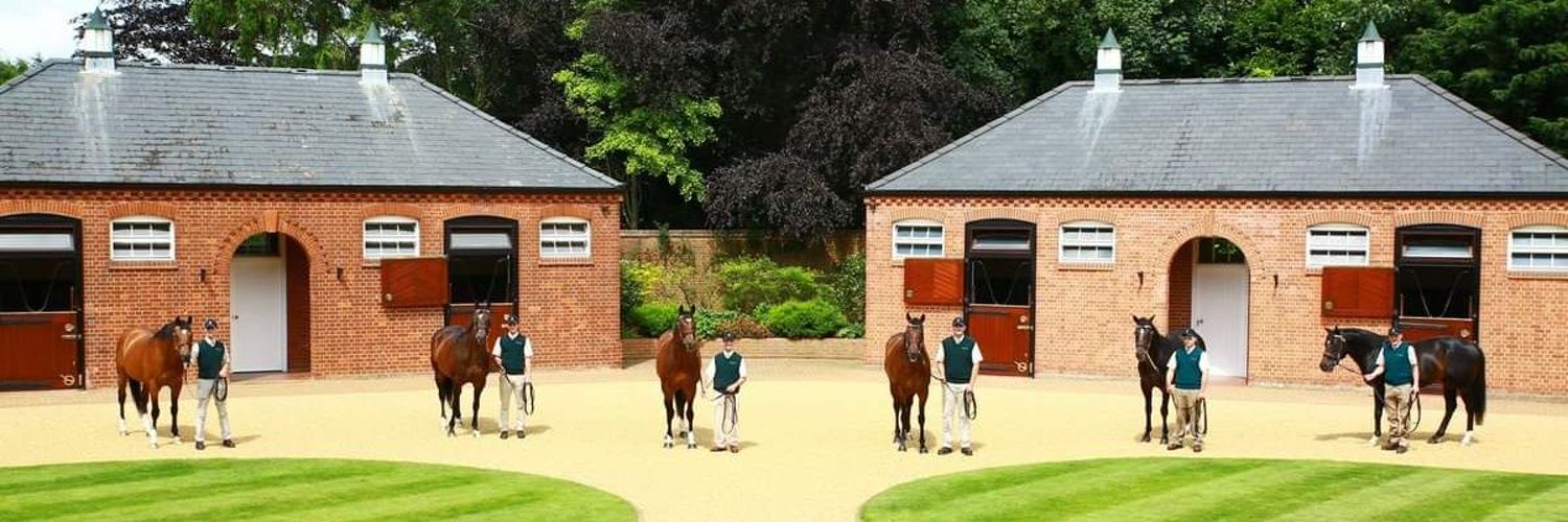 🇨🇦Michelle Park🇧🇧 banner