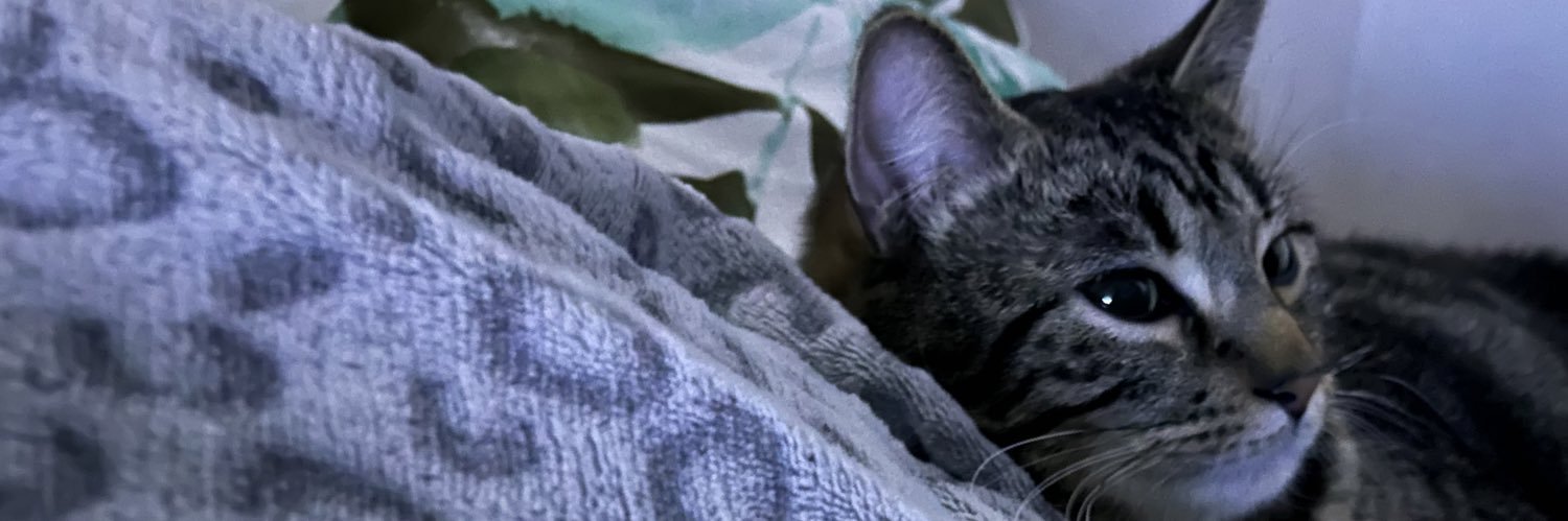 𝙵𝚕𝚊𝚢 banner