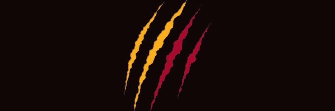 Shbrk1905's profile banner image
