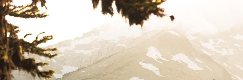 Kaleb King banner