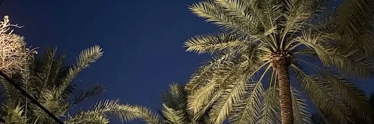 سالمـ banner