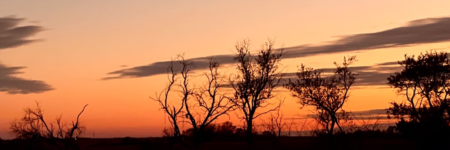 emptybranches's profile banner image