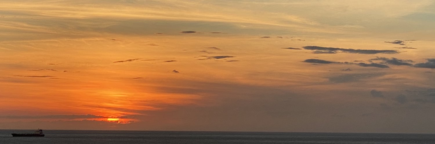 David Camargo banner