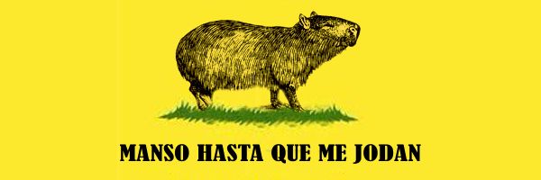 Somos Libres FCE 💛🦅 banner