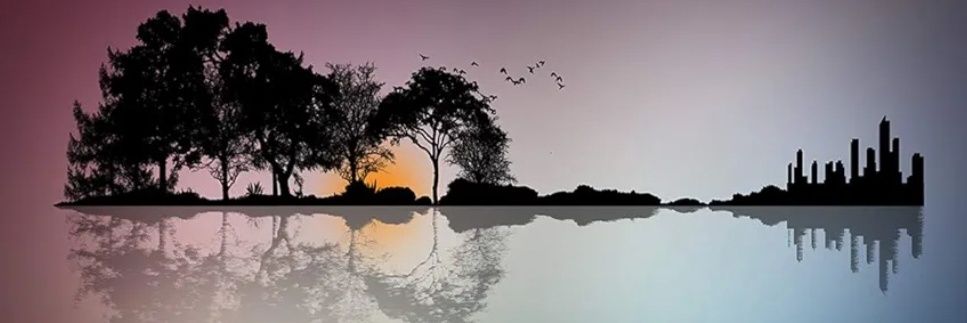jerseyncgirl's profile banner image