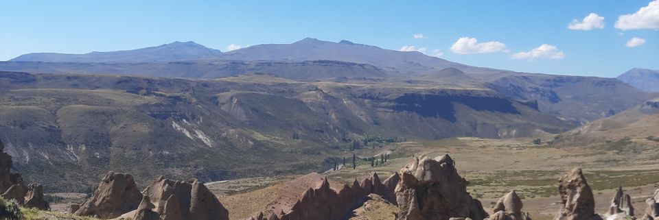 Floriputi's profile banner image
