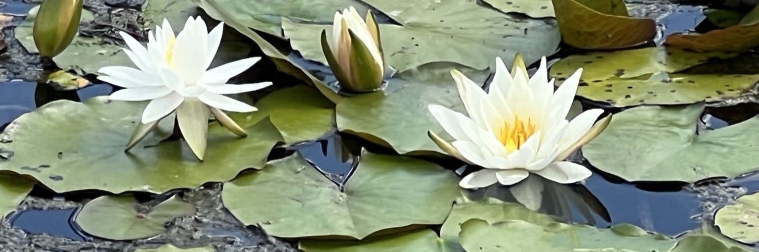 randomkayak's profile banner image