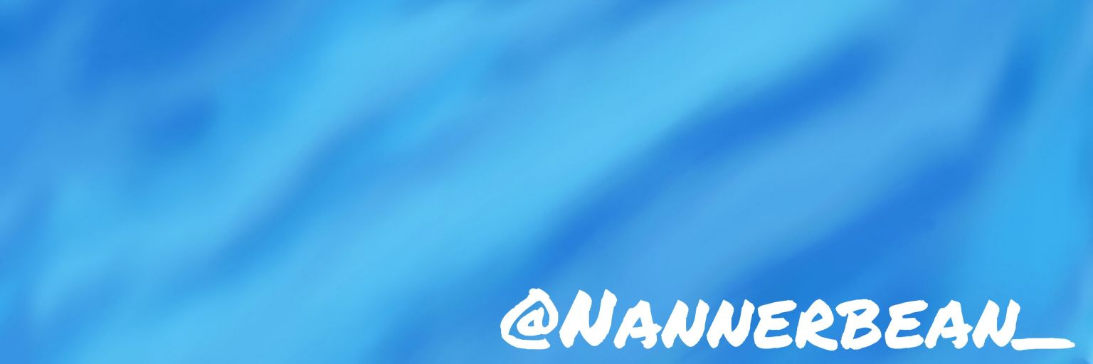 Shannon banner