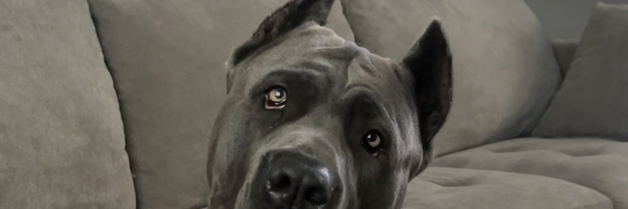 LesleyGodoy's profile banner image