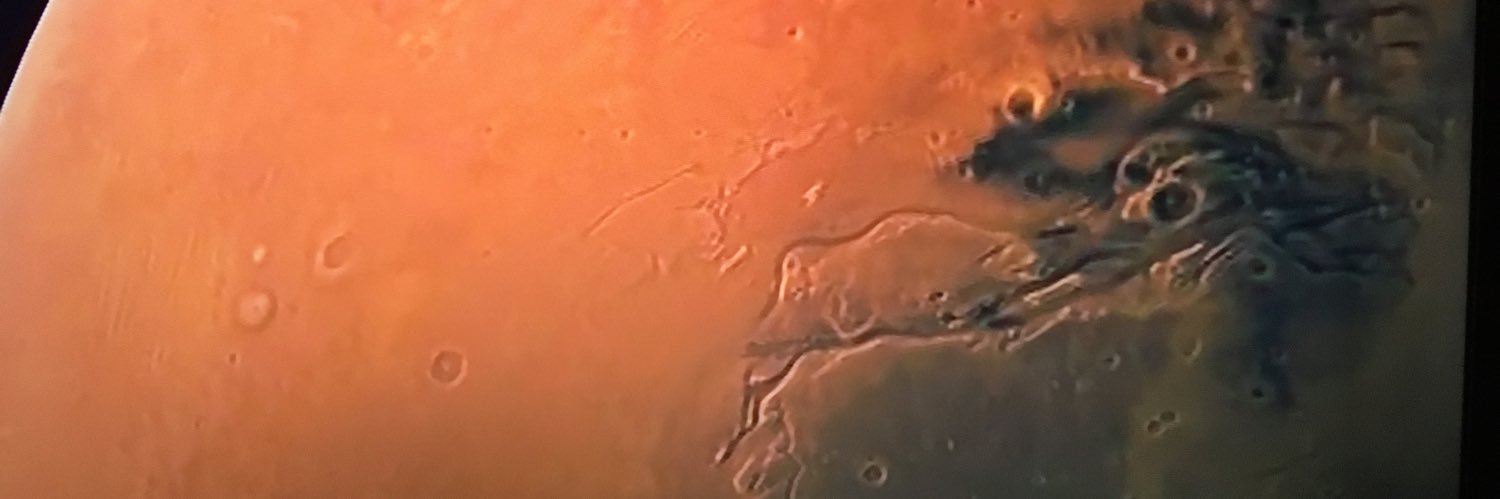 The Persian Rug Merchant banner