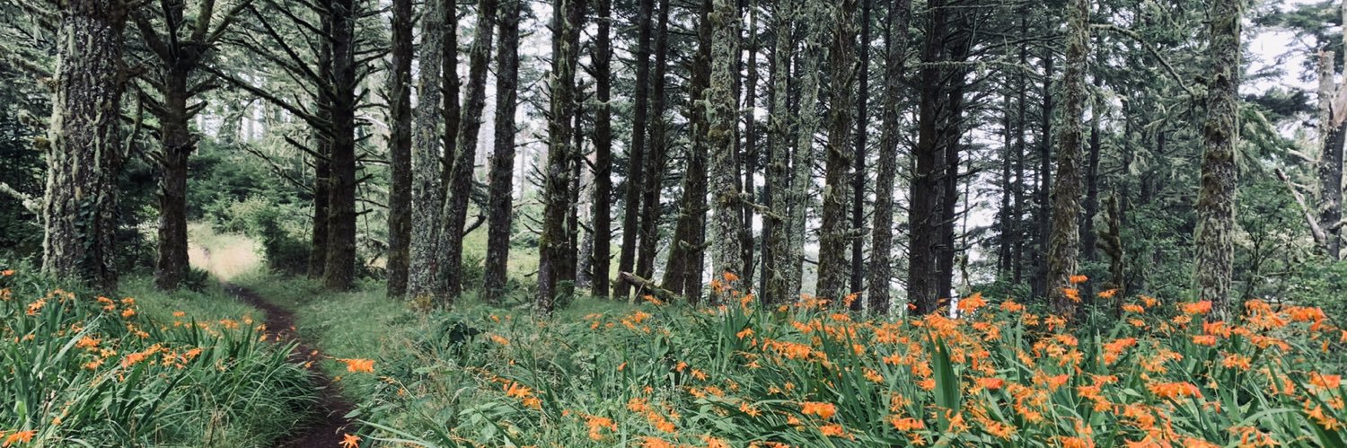 TessaSeda's profile banner image