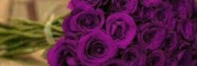 qal7y's profile banner image