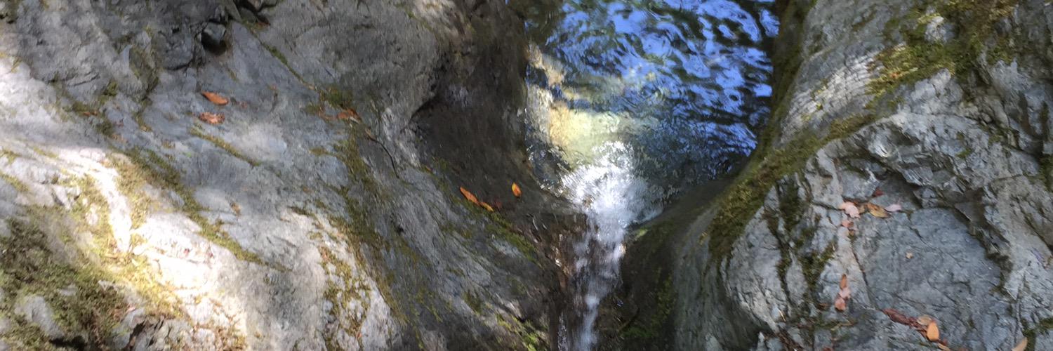PatrickHoge's profile banner image