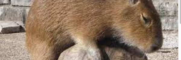 do__eth Profile Banner