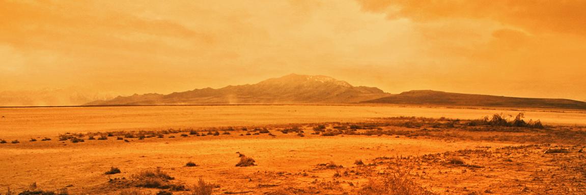 Choose Wisely banner