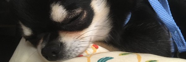 coCoco69494006 Profile Banner