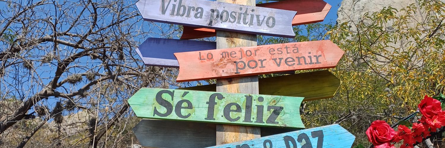 linda lims banner