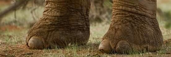 MariaMentirass's profile banner image