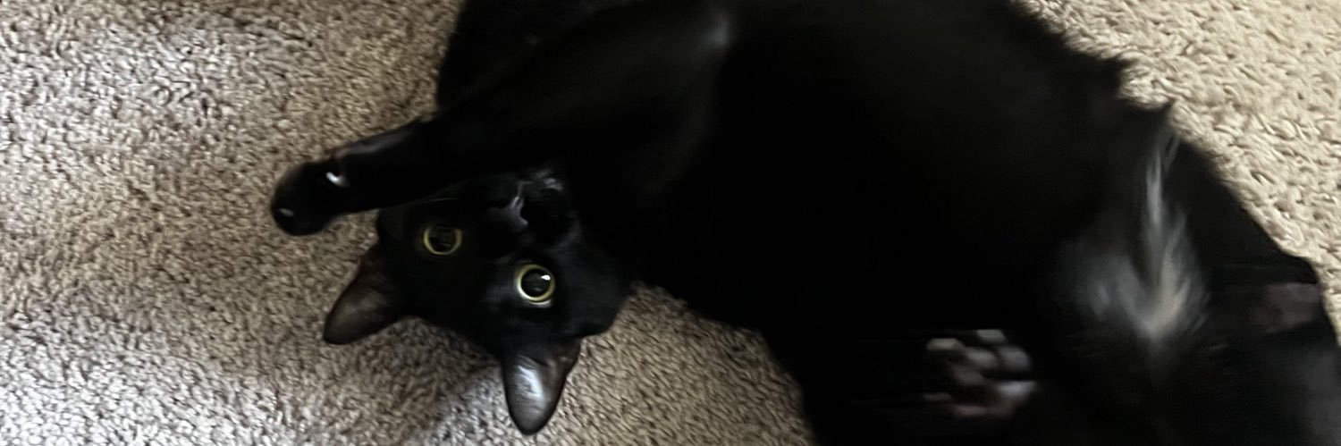 Rhyan_z's profile banner image